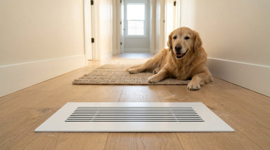 White aluminum floor return grille with washable floor vent filter in an oak hallway with a golden retriever nearby